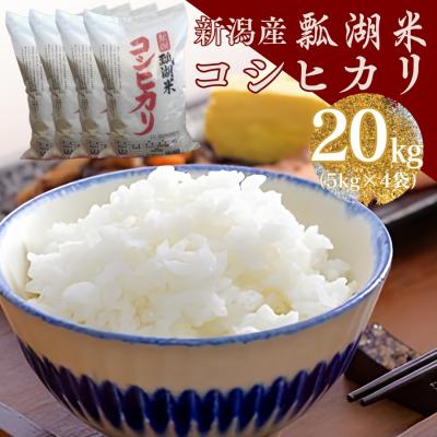 ふるさと納税 阿賀野市 【令和7年産】新潟産コシヒカリ瓢湖米 20kg