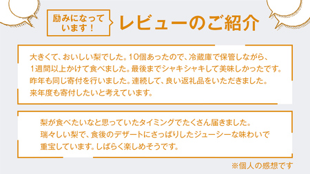 梨 豊水 5kg ( 10個 ～ 14個 ) なし 豊水梨 果物 くだもの フルーツ 旬 高糖度 ギフト 美味しい 甘い デザート 田舎の頑固おやじが厳選！ 【令和6年9月より発送開始】（茨城県共通返