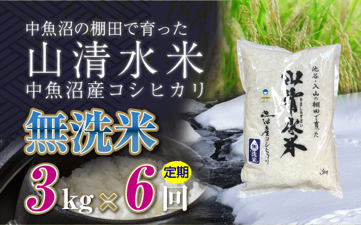 【定期便／全6回】無洗米3kg　新潟県魚沼産コシヒカリ「山清水米」十日町市 米