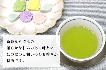 【2026年産新茶】 初摘み新茶 美濃白川茶 50g 初摘み 新茶 東白川村産 岐阜県産 お茶 日本茶 ホット アイス おためし リックポスト 茶広農園