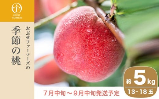 季節の桃 約5kg 13～18玉［ おぶせファーマーズ ］桃 もも モモ ピーチ フルーツ 果物 たまき なつき あかつき 川中島白鳳 なつっこ 川中島白桃 黄金桃 だて白桃 先行予約 長野県産 信州産 クール便 冷蔵便 お取り寄せ 産地直送 数量限定 産地 直送 令和8年産【2026年7月中旬～9月中旬発送】