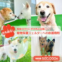 【ふるさと納税】【お礼品なし】殺処分ゼロとその先を目指して！　動物保護シェルターへの応援寄附　500,000円