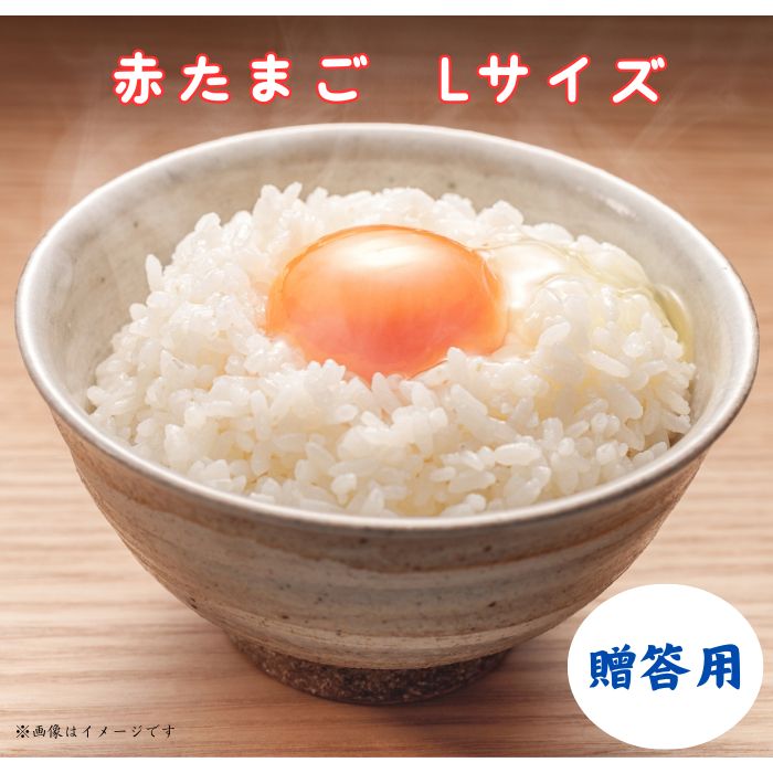 【ふるさと納税】\ 選べる容量 / 小川エッグの赤たまご Lサイズ 贈答用　卵 タマゴ 玉子 たまご こだわり 新鮮 旨み 甘み 卵白 卵黄 ゆで卵 卵かけごはん TKG たまごかけごはん エッグ ギフト 贈答 贈り物 送料無料 千葉県