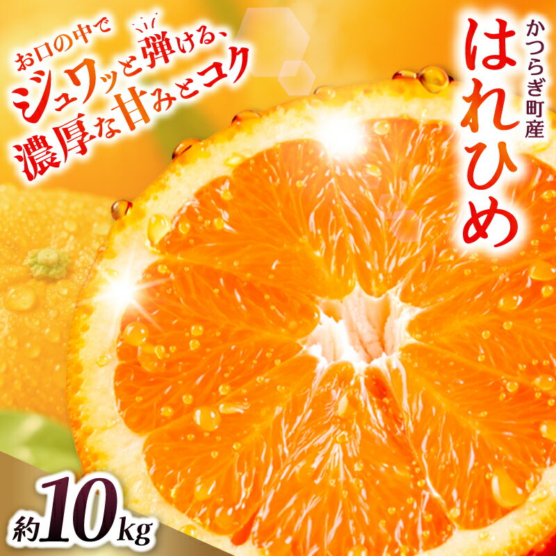 【ふるさと納税】 希少品種！みかんの甘味とオレンジの香り！ はれひめ(約10kg)【2026年12月上旬〜2027年2月上旬頃順次発送】