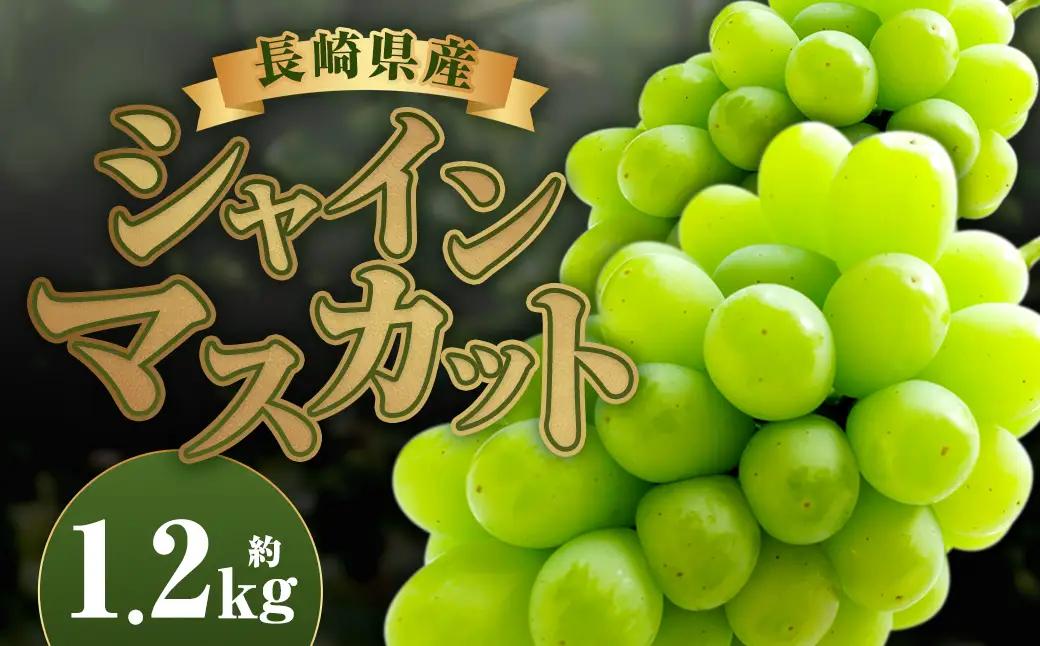 長崎県産 シャインマスカット 約1.2kg ぶどう フルーツ【2026年8月下旬～9月下旬迄発送予定】