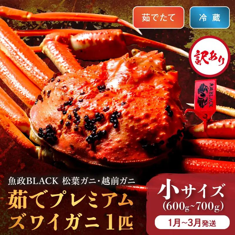 訳あり　【蟹の匠 魚政】茹で　プレミアムズワイガニ 魚政BLACK（松葉ガニ・越前ガニ） 小サイズ（600～700g） 1匹 (1月～3月発送）蟹
