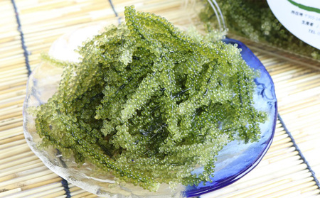 【2026年発送】宜野座村の海ぶどう（100g×5パック） うみぶどう ウミブドウ ぷちぷち プチプチ グリーンキャビア クビレズタ シーグレープ はじける 弾ける 食感 爽やか 磯の香り 海藻 新鮮