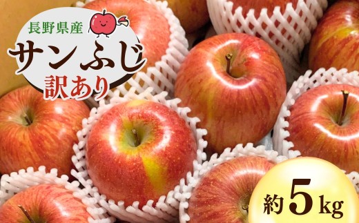 【2026年先行予約】千曲市産 サンふじ りんご 約5kg  訳あり 家庭用 | 林檎 リンゴ アップル 果物 くだもの フルーツ 5キロ わけあり 訳アリ お取り寄せ 産地直送 長野県産 信州林檎 信州りんご 信州 長野 千曲市