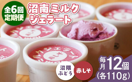 【全6回定期便】沼南ミルクジェラート 沼隈ぶどう＆赤しそ　各6個 [BAEC051]ジェラート