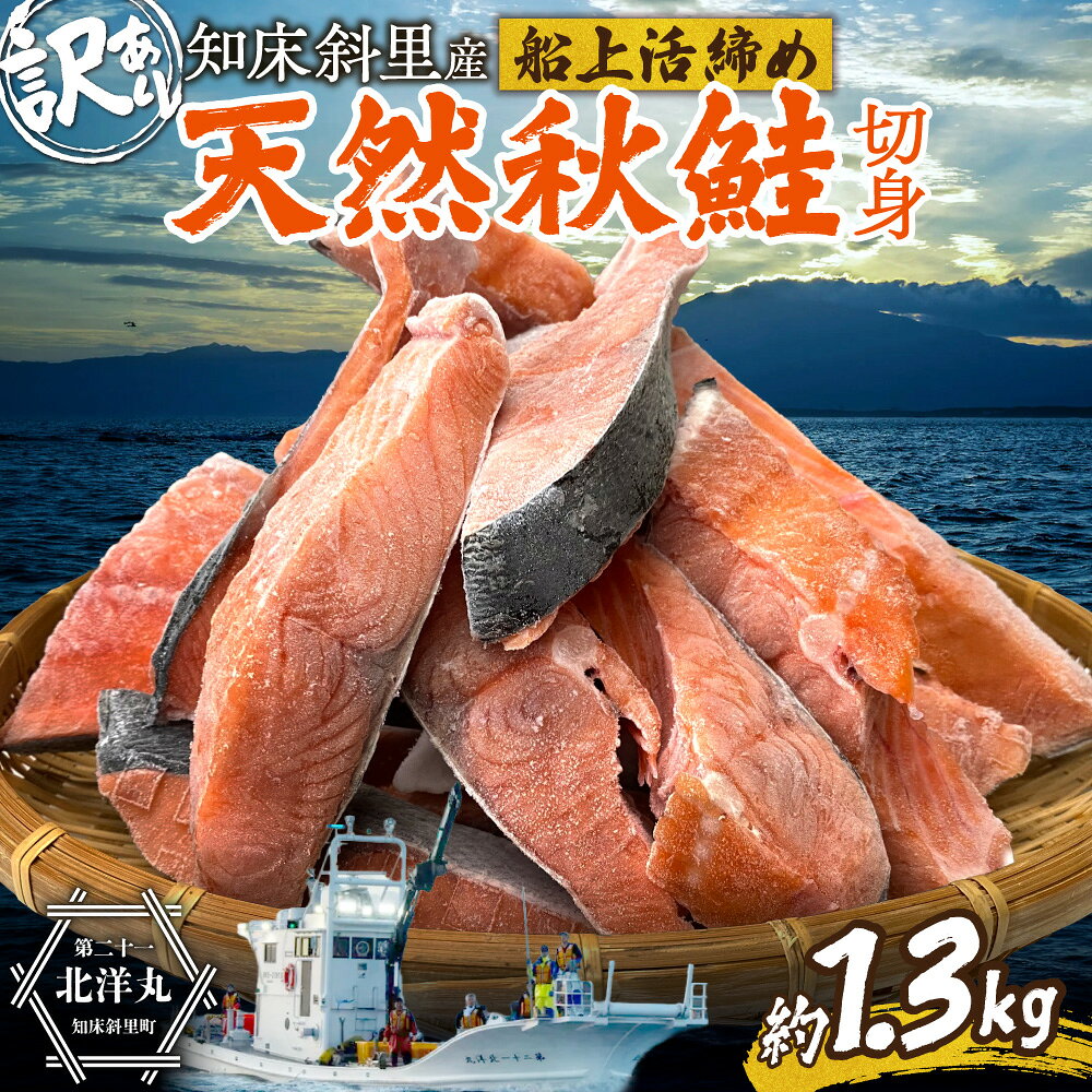 【ふるさと納税】【先行受付】【訳あり】知床斜里産 天然秋鮭の切り身 約1.3kg 船上活締め 不揃い 活〆 国産 北海道産 サケ 鮭 しゃけ お魚 塩なし オホーツク 朝食 焼き魚 切身 切り身 北海道 斜里町 【配送不可地域：離島・沖縄県】