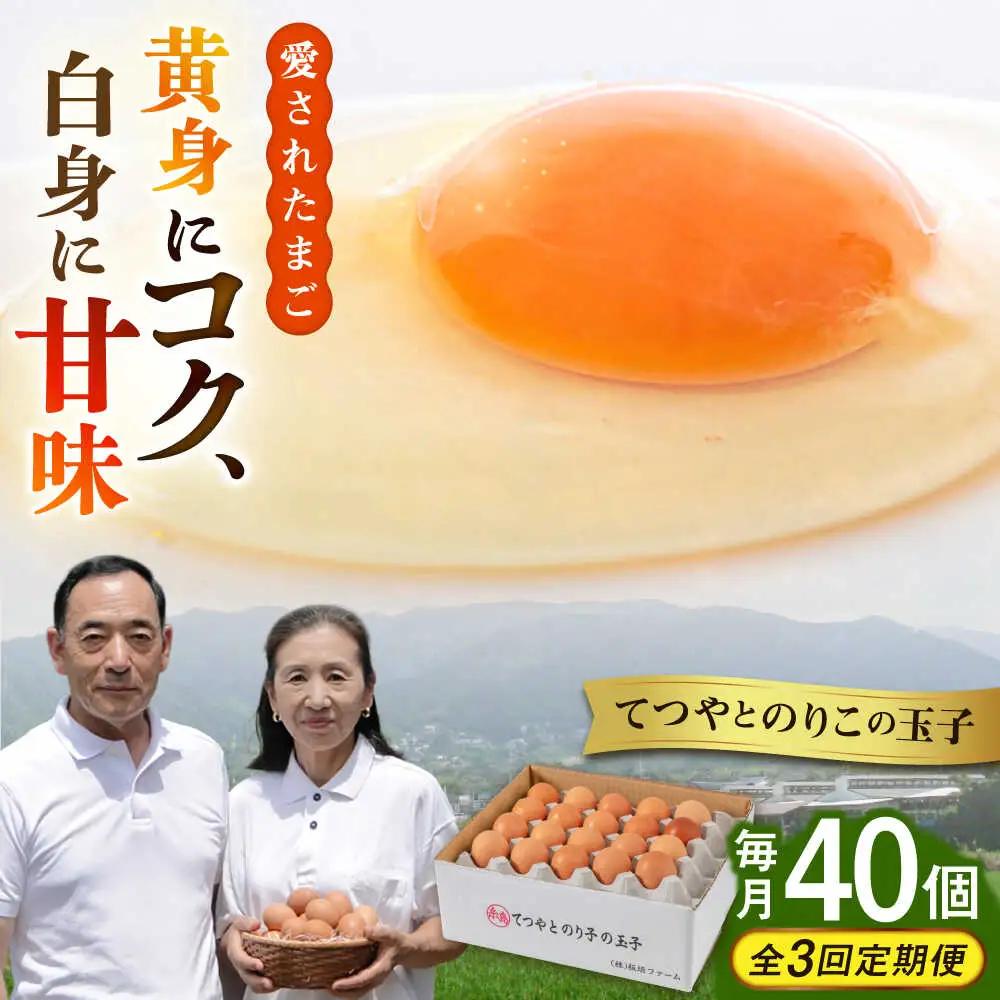 【全3回定期便】卵 40個 てつやとのりこの玉子 卵 たまご 定期便 [AWD020]