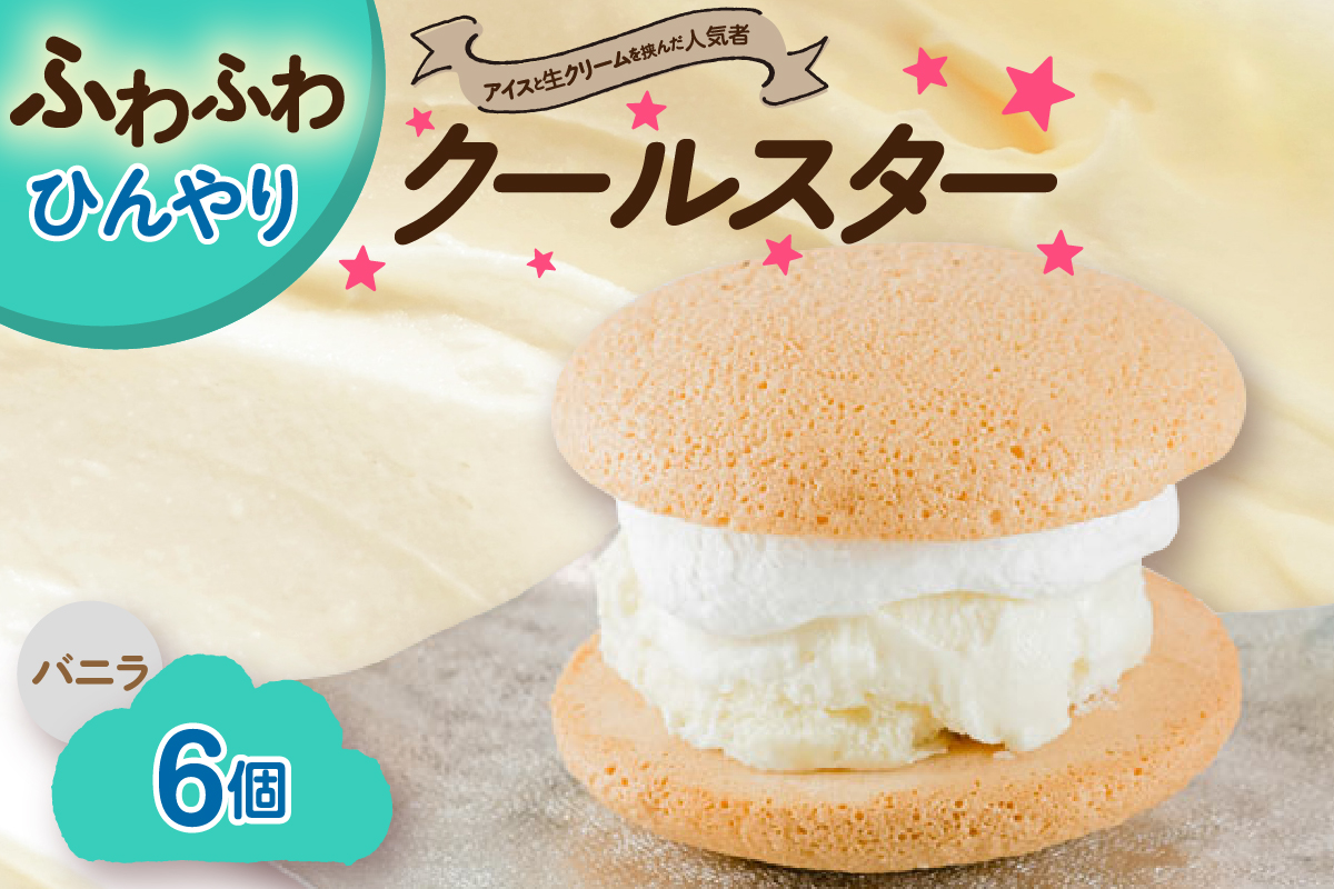 クールスター (ブッセケーキ) アイス クリーム ブッセ 6個入 スイーツ お菓子 洋菓子 おやつ 冷凍 山形県 米沢市