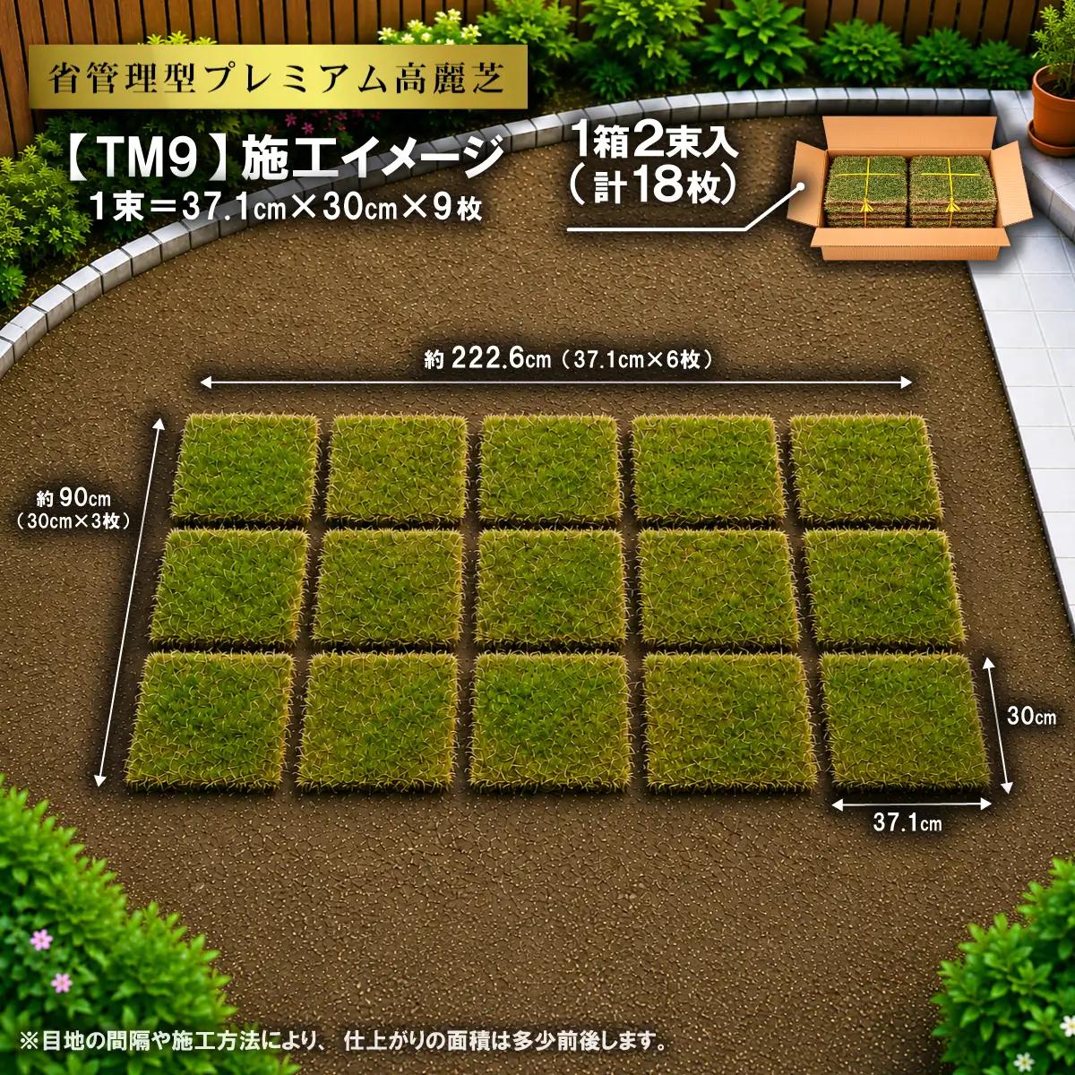【先行予約】2㎡分 省管理型プレミアム高麗芝 「TM9（芝生）」コウライシバ ティーエムナイン 【2027年3月下旬頃から出荷予定】
