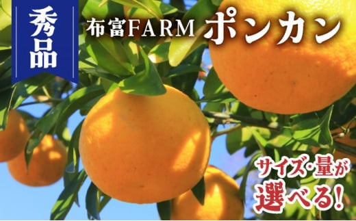 
            NT2-7【kg数が選べる】 秀品ポンカン＜5〜10kg＞
          