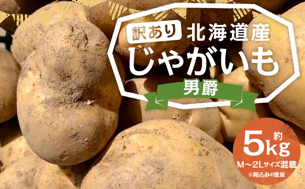 
                  【訳あり】北海道産 じゃがいも 男爵 M～2Lサイズ混載 約5kg 1箱 山田農場 ジャガイモ 芋 いも イモ 訳アリ わけあり ワケアリ 国産 産地直送 北海道 京極町 【2026年9月下旬-2027年1月上旬迄発送予定】
                