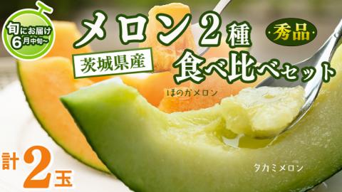 茨城県 メロン 秀品 2色 食べ比べ セット ほのかメロン タカミメロン 赤肉 青肉 1箱 2玉入り 期間限定 フルーツ 果物 茨城県産 【 先行予約 】 【 6月中旬 以降発送】[AV006ya]