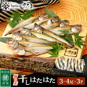 【ふるさと納税】越前産 干しはたはた（3～4尾）× 3パック 越前塩のみで仕上げた一塩干し！【干物 ひもの ハタハタ 海鮮 冷凍 個包装 】 [e04-a108]