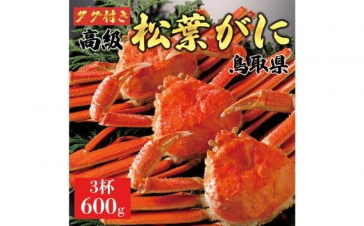【2026年1月～2026年3月発送】特撰 松葉がに（茹）【ブランドタグ付き】600g超のサイズ  3杯