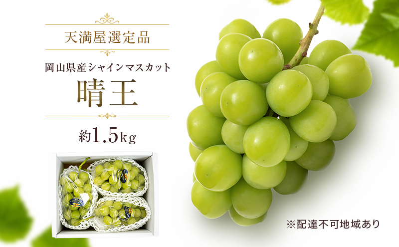 【天満屋選定品】岡山県産 シャインマスカット 晴王 約1.5kg（2026年発送）