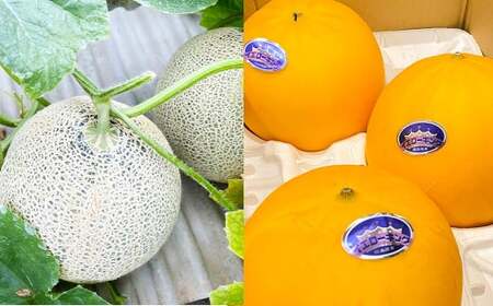 『まるで果物の王様！贅沢メロン』（熊本県産） 2玉セット メロン フルーツ くだもの 果物 【2026年4月下旬～2026年6月上旬迄発送予定】