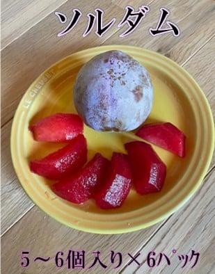 
            酸味と甘味の調和すもも【ソルダム】5〜6個入り×6パック生産者直送【2026年発送】（ISI）B12-159【ソルダム すもも スモモ 令和8年発送 期間限定 山梨県産 甲州市 フルーツ 果物】
          