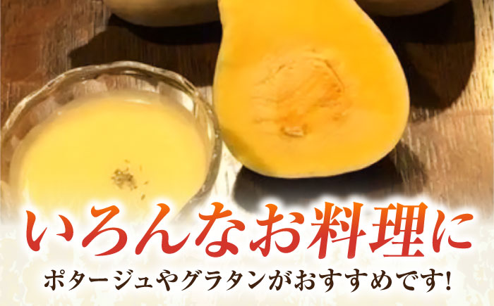 【先行予約】バターナッツ　約5kg（7月～11月）【鈴也ファーム】 [AKCE022]