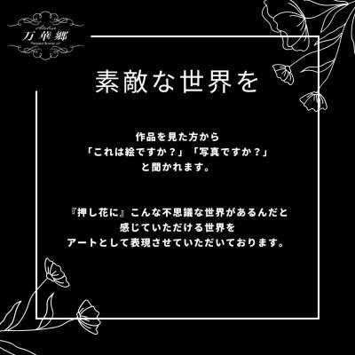 ふるさと納税 千早赤阪村 1点もの　押し花アート 『春咲き乱れ』額付き |  | 02