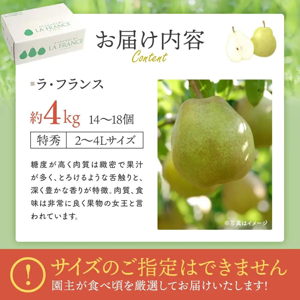 【先行予約】厳選 おいしいラ･フランス約4kg（14～18個） 蔵王産　【04301-0151】