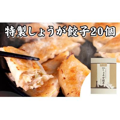ふるさと納税 神戸市 [ギョーザ専門店イチロー製] 神戸味噌だれ餃子3種(計55個)&特製小籠包9個セット |  | 02