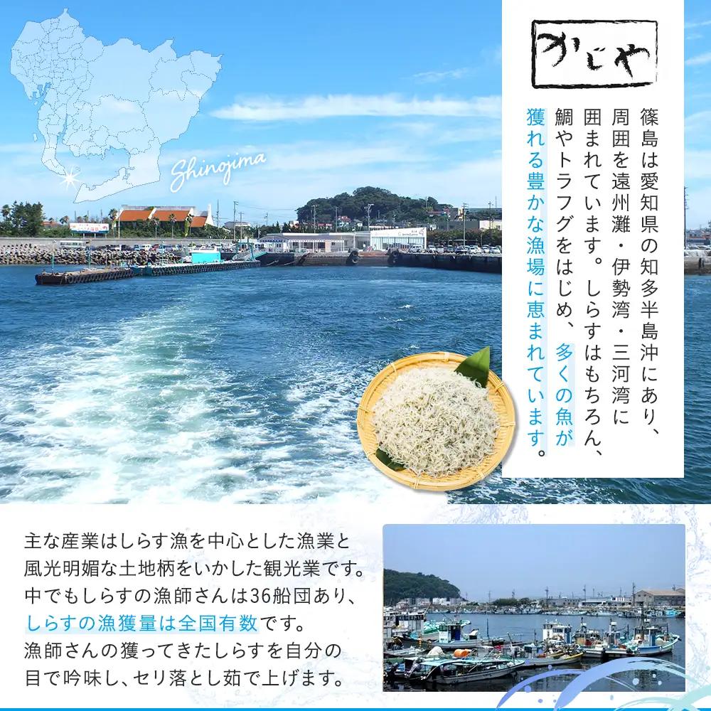 篠島産 しらす 干し 1kg 冷凍 晩酌 惣菜 弁当 便利 ランキング ご飯のお供 ご飯 ごはん 国産 サラダ おつまみ しらす 干し