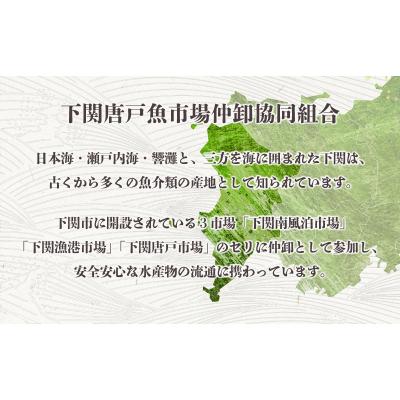 ふるさと納税 下関市 関門 タコ からあげ 600g たこ 唐揚げ EY024 |  | 02