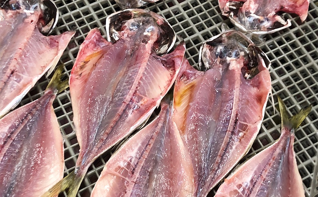 長崎干物あじ開き