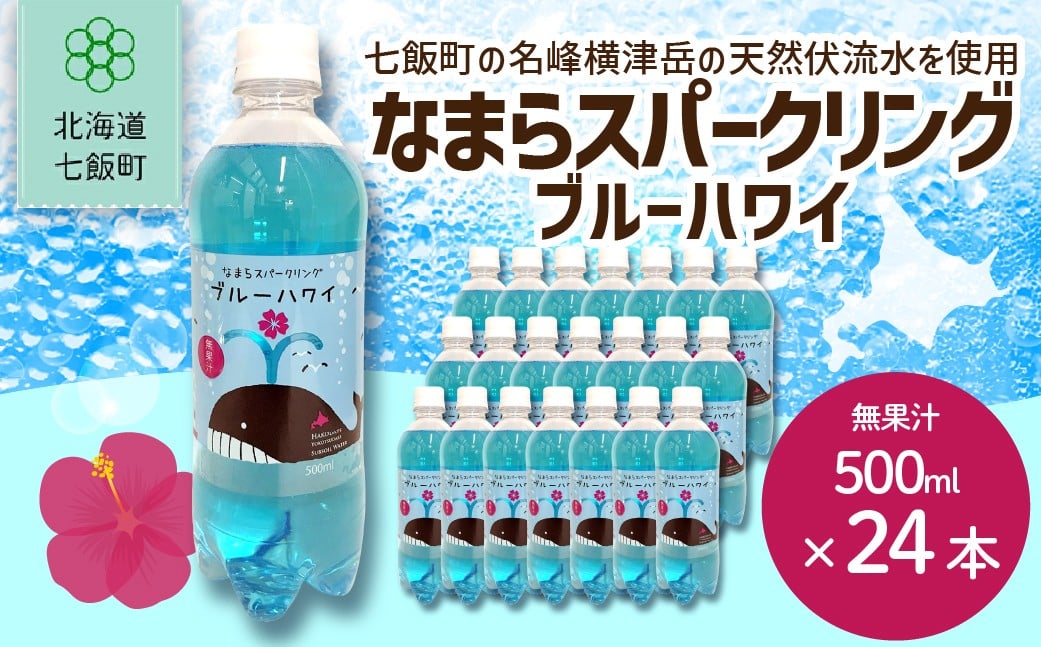 
            【先行予約】【2026年1月20日より順次発送】なまらスパークリング（ブルーハワイ）24本（500mlペットボトル） 【 ふるさと納税 人気 おすすめ ランキング なまらスパークリング ブルーハワイかわいいパッケージ 道産子ソウルドリンク 北海道代表 ご当地 北海道 七飯町 送料無料 】 NAQ005
          