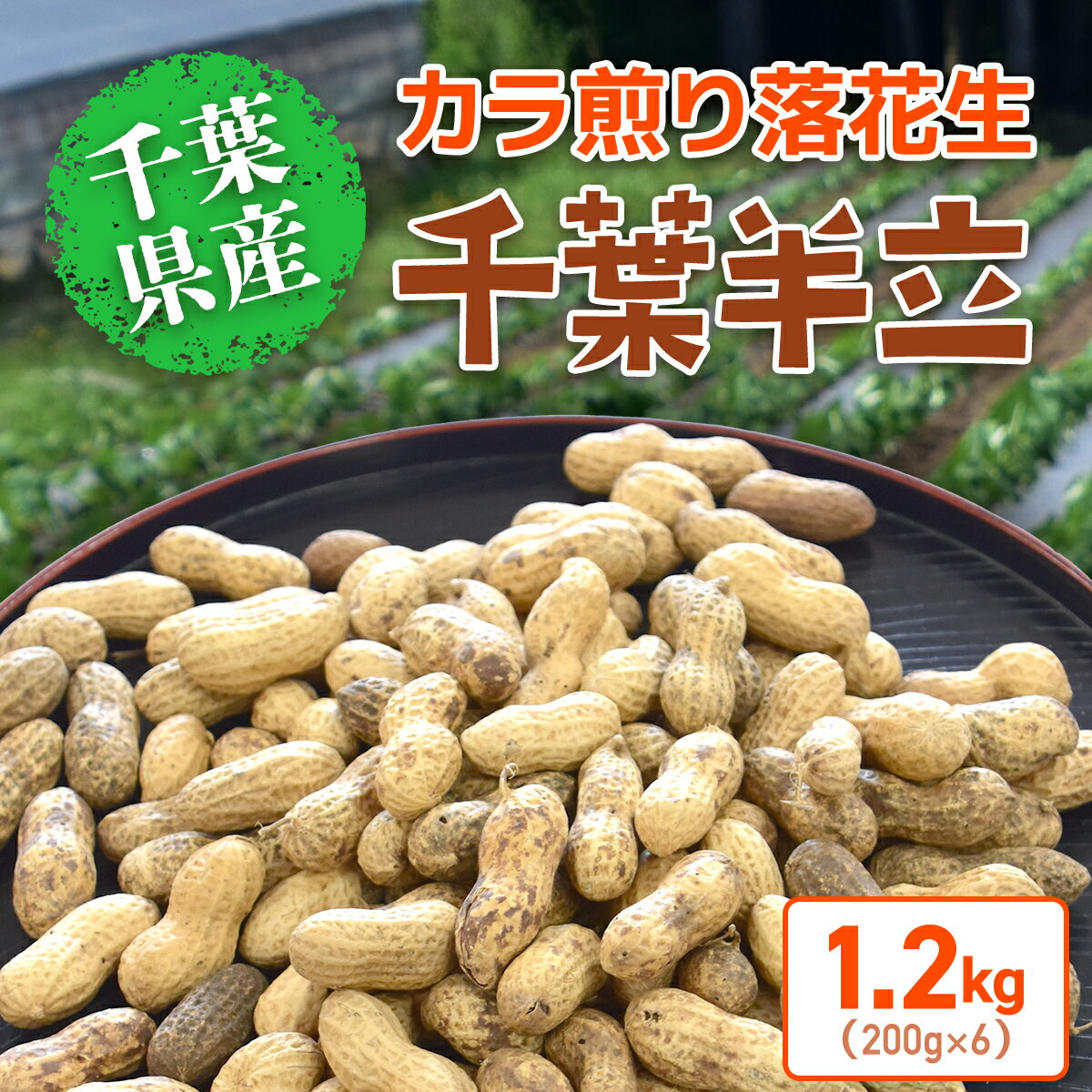【ふるさと納税】【先行予約】【12月上旬から発送】千葉県産 カラ煎り落花生 千葉半立 1.2kg（200g×6） ／ ふるさと納税 らっかせい ラッカセイ 落花生 千葉半立 落花生の王様 ナッツ ピーナッツ 無農薬 有機質肥料100％ 千葉県 山武市 SMF005