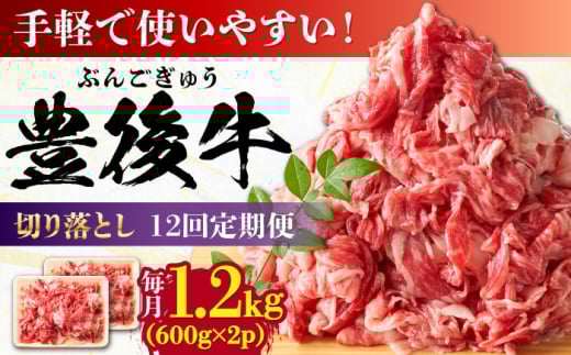 【全12回定期便】【大容量パック！】 おおいた豊後牛 牛肉 切り落とし 1.2kg (600g×2) 日田市 / 株式会社MEAT PLUS 牛肉 おおいた豊後牛 おおいた 豊後牛 黒毛和牛 赤身 薄切り 切り落とし 和牛 [AREI049]