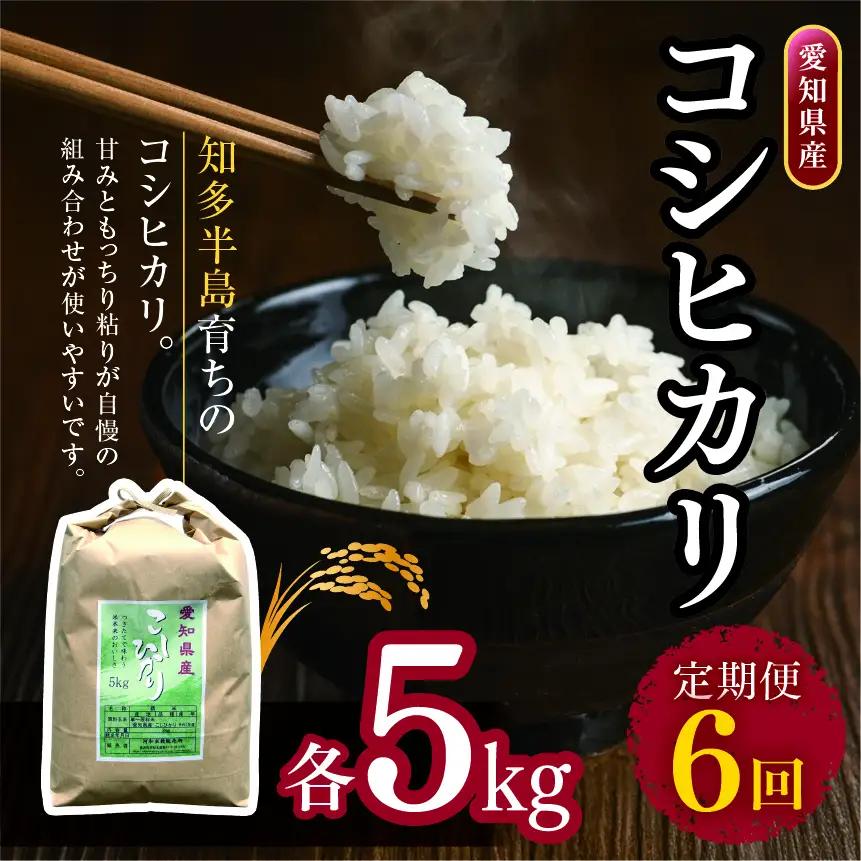 【定期便6回】愛知県産 コシヒカリ 5kg｜米