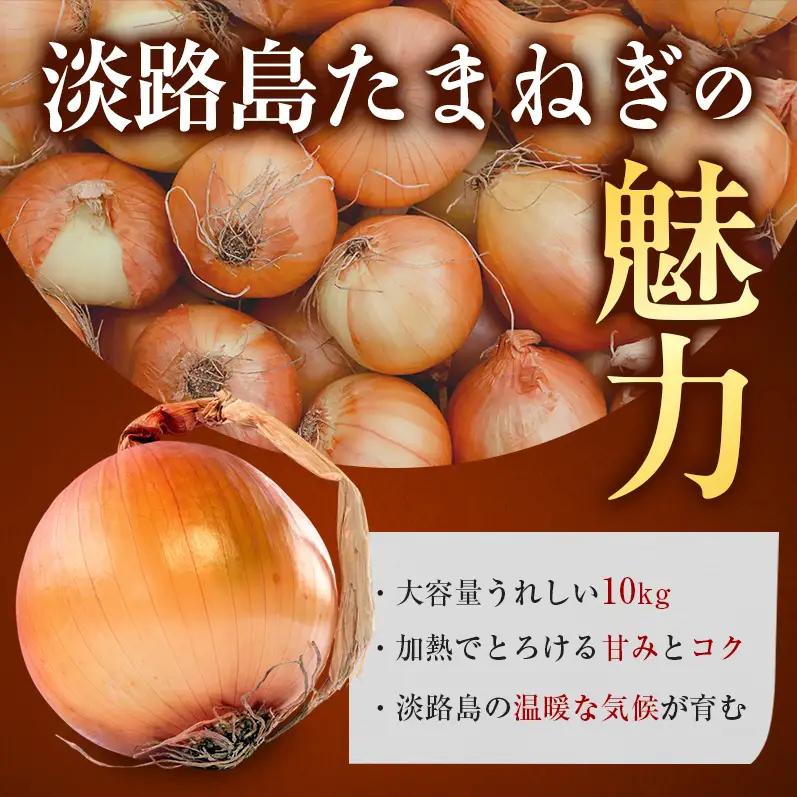 玉ねぎ 淡路島産 5kg スープ 肉じゃが 玉ねぎ