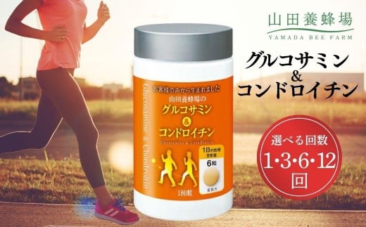 
            ＜選べる回数＞グルコサミン＆コンドロイチン 1回～12回（28313）【006-a047/105/106/107】
          