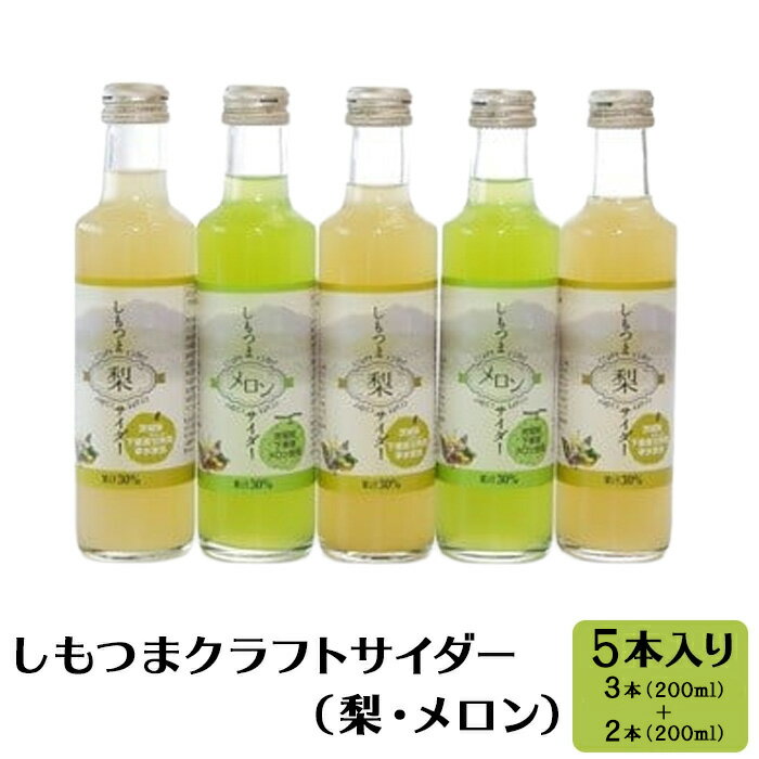 【ふるさと納税】ご当地サイダー しもつまクラフトサイダー（梨・メロン）【5本入り】