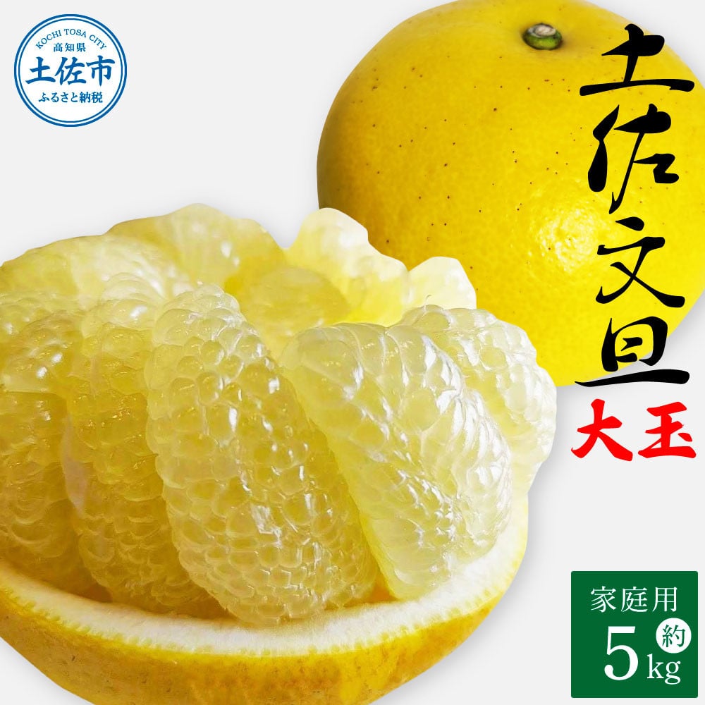 
            土佐文旦 家庭用 約5キロ（2L～4Lサイズ混合：8玉～12玉） 大玉 先行予約 数量限定 文旦 ぶんたん ブンタン 土佐文旦 柑橘 フルーツ 果物 ご当地 お取り寄せ 土佐 高知
          