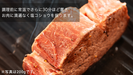 【 常陸牛 】 希少部位ステーキ（ ヒレステーキ ）150ｇ×3枚 ブランド牛 ヒレ肉 ヒレ 牛肉 お肉 焼肉 焼き肉 バーベキュー BBQ ステーキ