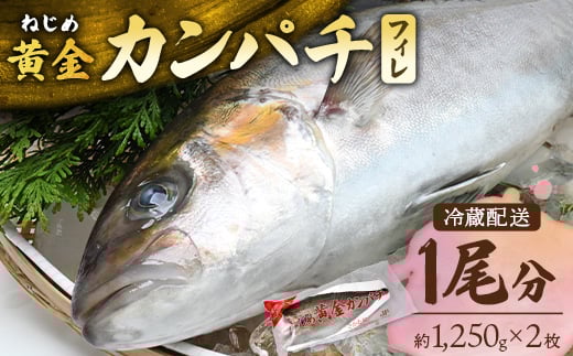 【配送日指定可能】鹿児島 ねじめ黄金カンパチ フィレ 1尾（約1,250g×2枚）冷蔵便 | 魚 直送 養殖 根占 さかな 身が引き締まった かんぱち 漁師 刺身 寿司 しゃぶしゃぶ ぷりぷり食感 鹿児島県 南大隅町 ねじめ漁業協同組合 D7506