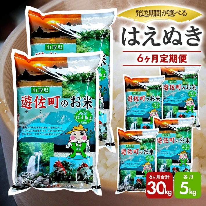 【定期便】遊佐産はえぬき5kg×6ヶ月連続（11月～4月）