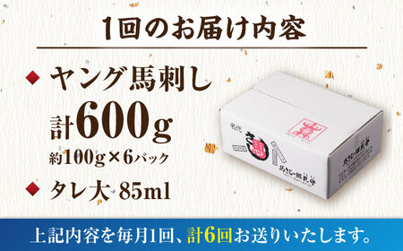 【6回定期便】ヤング馬刺し 計600g（6pc）＋タレ大【馬刺しの郷 民守】馬肉 熊本県 特産品 馬刺し [ZBL075]