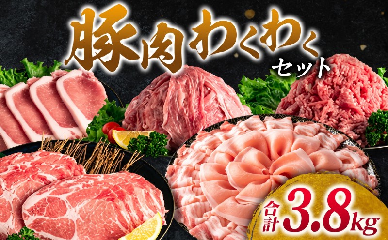 
                  豚肉 わくわく セット 合計3.8kg ポーク 国産 豚ロース とんかつ スライス 豚切り落とし 豚バラ しゃぶしゃぶ ミンチ 挽肉 ハンバーグ すき焼き 弁当 おかず おつまみ 万能食材 真空パック 詰め合わせ お取り寄せ 宮崎県 日南市 送料無料_CD66-25
                