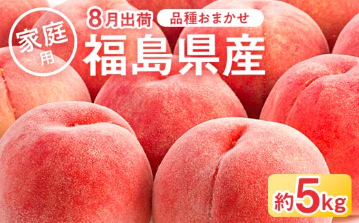 2026年先行予約 家庭用の桃 福島県産 品種おまかせ 約5kg 8月出荷分 数量限定 期間限定 桃 もも モモ 果物 くだもの フルーツ F21C-084