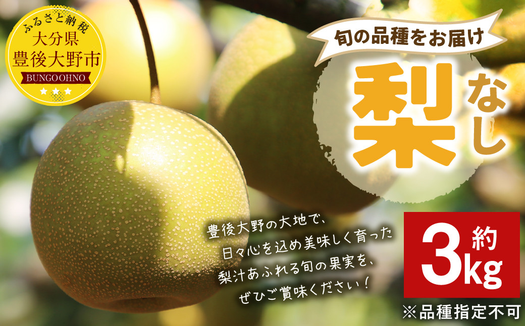 037-1055x1 【先行予約】 大分県 豊後大野市産 梨 約3kg 【2025年8月上旬〜2025年12月上旬発送予定】