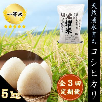 ふるさと納税 長和町 【毎月定期便】コシヒカリ5キロ(kg)　長野県長和町産 農家直送 一等米精白米全3回