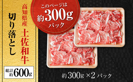 高知県産　牛肉切り落とし　炒め物・すき焼き用　約600g【小分け　約300ｇ×2】