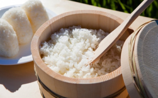 2025年9月以降発送【蛇紋岩ブランド　別格米6kg】